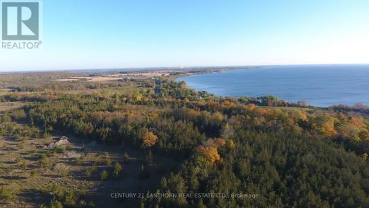 439 ROCK CROSSROAD ROAD, Prince Edward County (north Marysburg Ward), オンタリオ K0K 2T0, カナダ