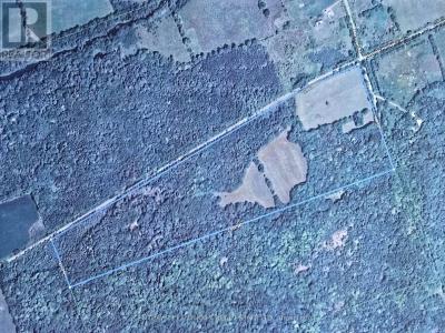 00 MORRISON ROAD, Madoc, Ontario K0K 1Y0, Canada