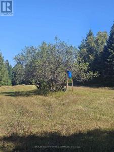 1477 ARMSTRONG ROAD, Merrickville-Wolford-, Ontario K0G 0A3, Canadá