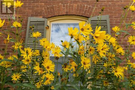 56 MARY STREET, Prince Edward County (picton Ward), 安大略省 K0K 2T0, 加拿大