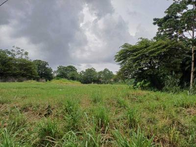 Coronado Chamé, Panama 00001, Panama