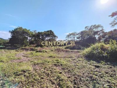東光段, Guanxi Township, Hsinchu County 306, Taiwan