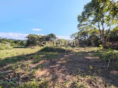 東光段, Guanxi Township, Hsinchu County 306, Taiwan