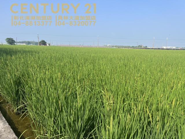 新田段, Zhutang Township, Changhua County 525, 대만