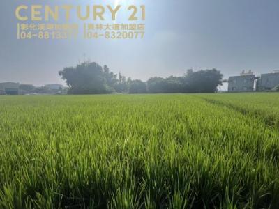 新田段, Zhutang Township, Changhua County 525, 대만