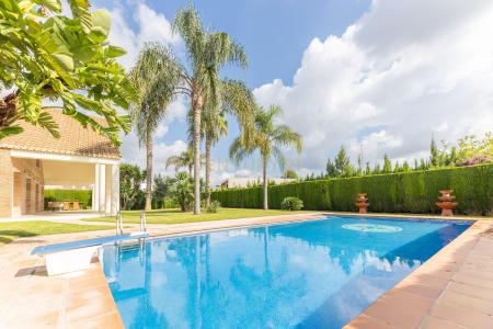 València/Valencia, Comunitat Valenciana 46184, Spain