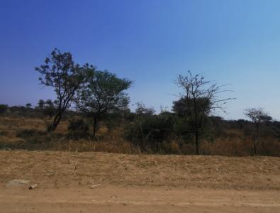Polokwane, Limpopo, Nam Mỹ