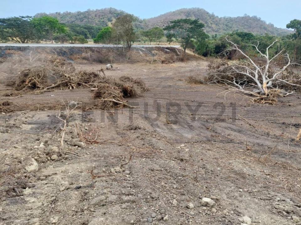 Sitio camarones 0000, Jama, Manabí 00001, Ecuador