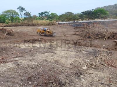 Sitio camarones 0000, Jama, Manabí 00001, Ecuador