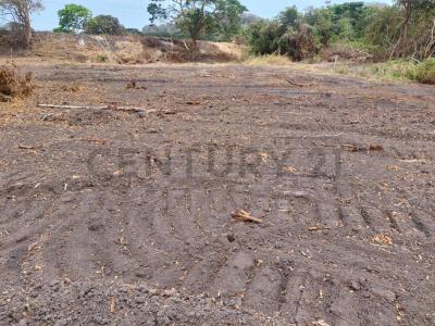 Sitio camarones 0000, Jama, Manabí 00001, Ecuador