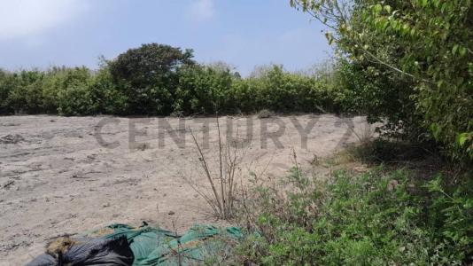 Condominio Las Praderas Fundo San Andrés , Cañete, Lima 00001, Peru