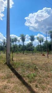 camino nueva colombia altos , Nueva Colombia, Cordillera 00001, Le Paraguay