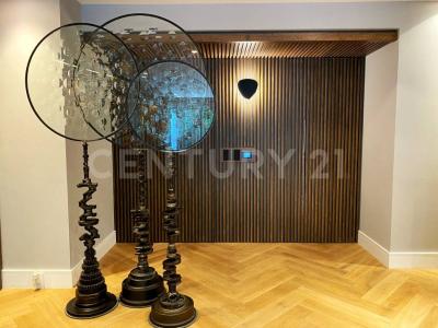 11192 Eugenio Sue ,, Miguel Hidalgo, Ciudad De México 11550, 墨西哥