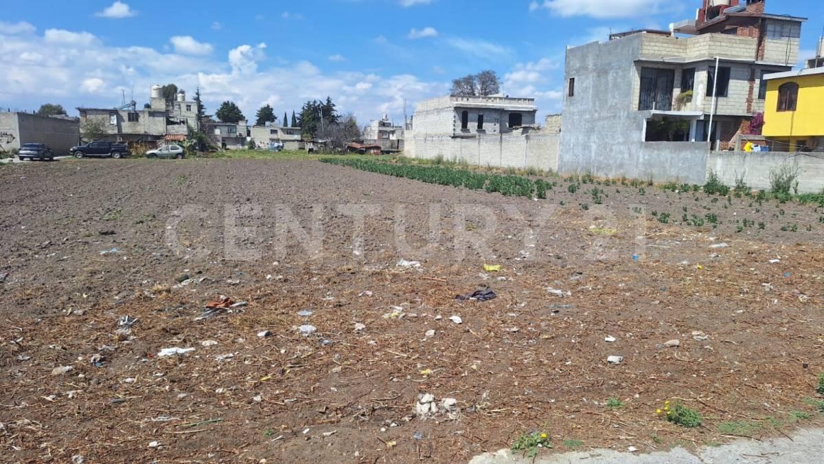 niño perdido 97,, San Mateo Atenco, Estado De México 52107, México