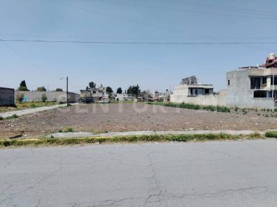 niño perdido 97,, San Mateo Atenco, Estado De México 52107, México