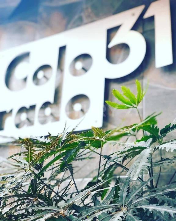 Benito Juárez, Ciudad De México 03810, מקסיקו 