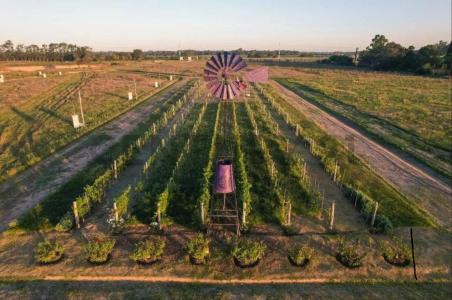 Avenida Patricios 12000 , Merlo, GBA Oeste 1725, Argentina