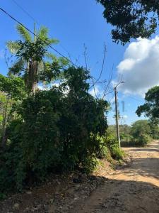 BUENA VISTA , Oeste, Santa Cruz 00001, Bolivia