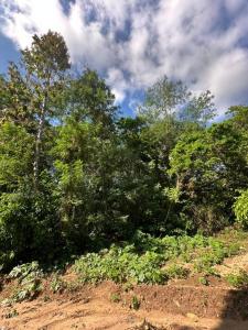 BUENA VISTA , Oeste, Santa Cruz 00001, Bolivia