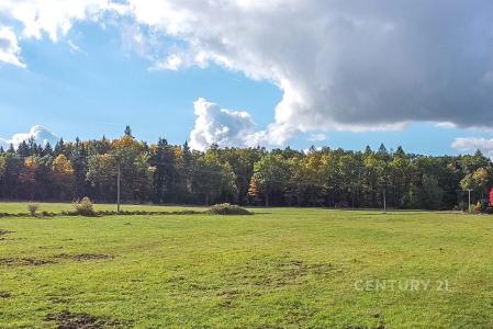 Kamenice, Praha-východ 100 00, Repubblica Ceca