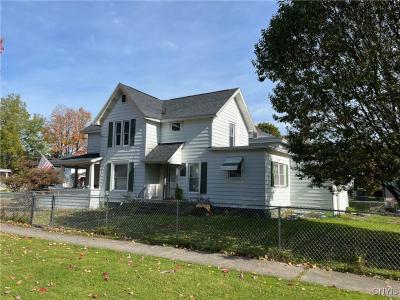 115 Phillips Street, Fulton, New York 13069, Stati Uniti