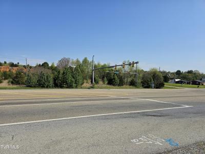 1.81 Ac. Andrew Johnson Hwy., Greeneville, 테네시 37745, 미국