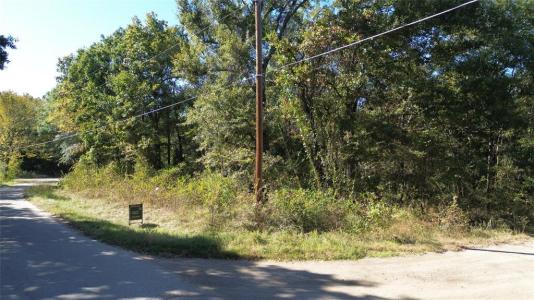 199 Coahoma Street, Mabank, 得克萨斯州 75156, 美国