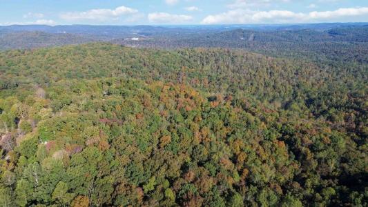 569 Stoneybrook Road, Burnside, Kentucky 42519, USA