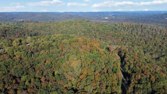 569 Stoneybrook Road, Burnside, Kentucky 42519, USA