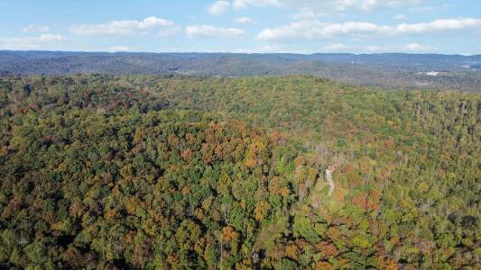 569 Stoneybrook Road, Burnside, Kentucky 42519, USA