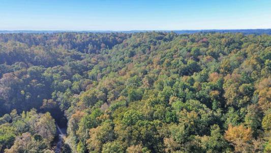 681 Stoneybrook Road, Burnside, Kentucky 42519, USA