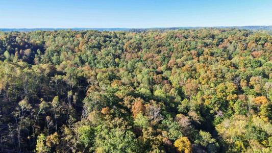 681 Stoneybrook Road, Burnside, Kentucky 42519, USA