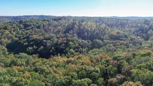 791 Stoneybrook Road, Burnside, كنتاكي 42519, الولايات المتحدة