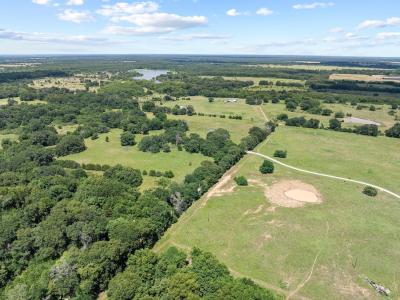 TBD County Road 2220, Ivanhoe, Texas 75447, Estados Unidos