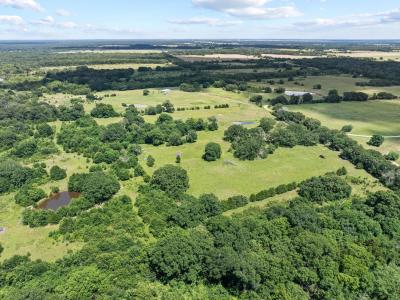 TBD County Road 2220, Ivanhoe, Texas 75447, Estados Unidos