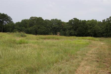 1309 County Road 1895, Sunset, Texas 76270, Estados Unidos