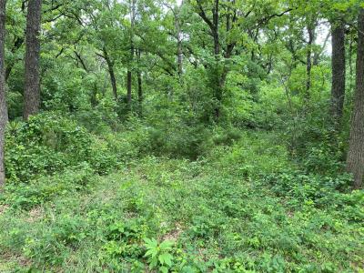 TBD NW County Road 3323, Frost, Texas 76641, Estados Unidos