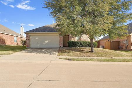 203 Mustang Trail, Celina, 텍사스 75009, 미국