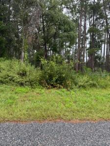 1476 6th Avenue, Deland, Florida 32724, USA