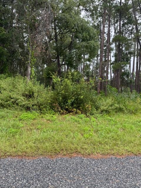 1476 6th Avenue, Deland, Florida 32724, Estados Unidos