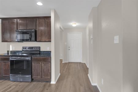 1616 Megan Creek Drive, Little Elm, Texas 75068, Stati Uniti