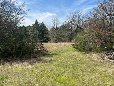 8680 County Road 301 Road, Terrell, Texas 75160, HOA KỲ