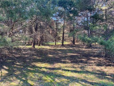 Lot 89 Sweetwater Ranch Jackson Circle, Kerens, Texas 75144, États-Unis