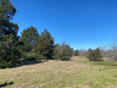 Lot 89 Sweetwater Ranch Jackson Circle, Kerens, Texas 75144, États-Unis
