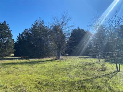 Lot 89 Sweetwater Ranch Jackson Circle, Kerens, Texas 75144, États-Unis