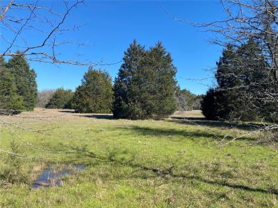 Lot 89 Sweetwater Ranch Jackson Circle, Kerens, Texas 75144, États-Unis