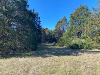 Lot 89 Sweetwater Ranch Jackson Circle, Kerens, Texas 75144, États-Unis