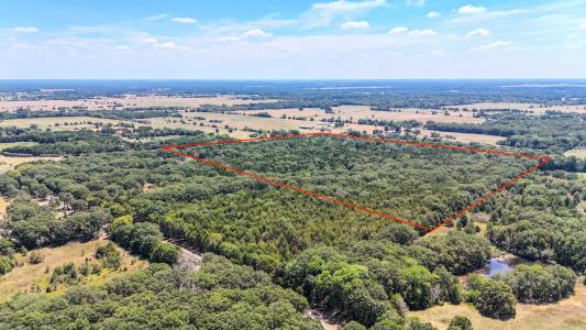 000 Fm-273, Ivanhoe, Texas 75447