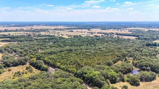 000 Fm-273, Ivanhoe, Texas 75447