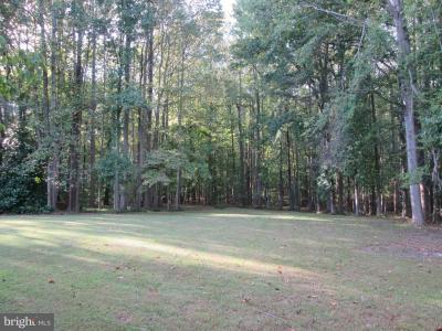 8901 Brookridge Drive, Upper Marlboro, מרילנד 20772, ארצות הברית של אמריקה